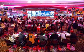 Catatan referral 204 terlihat di layar ponsel